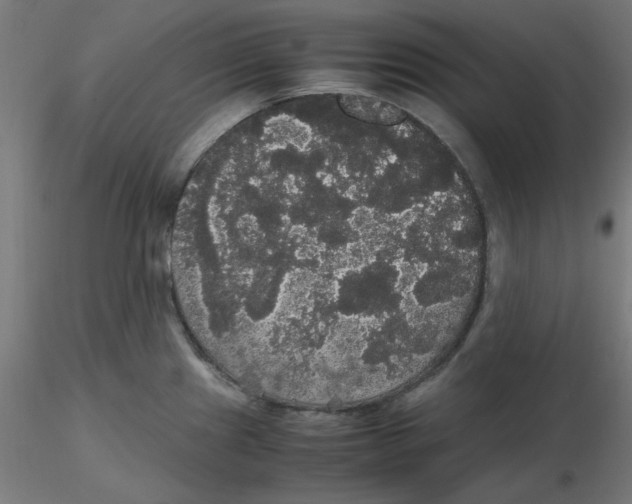 X0000116121241200912211647