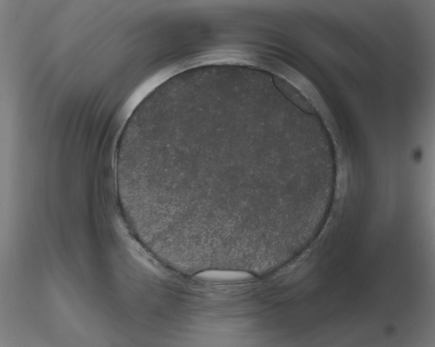 X0000116121242200912211647