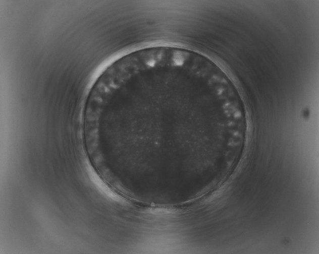 X0000116121246200912211647