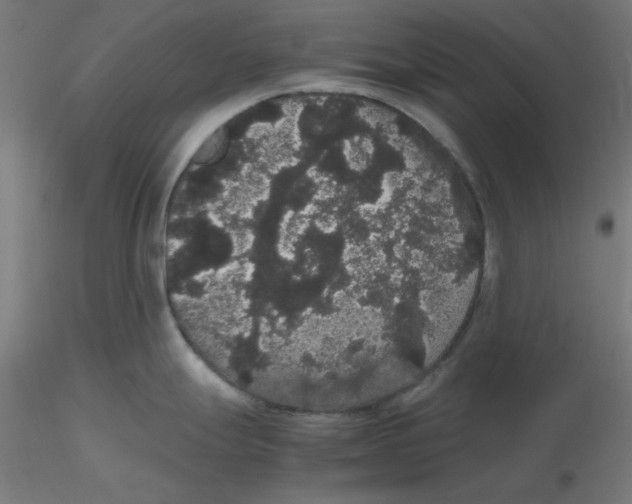 X0000116121247200912211647