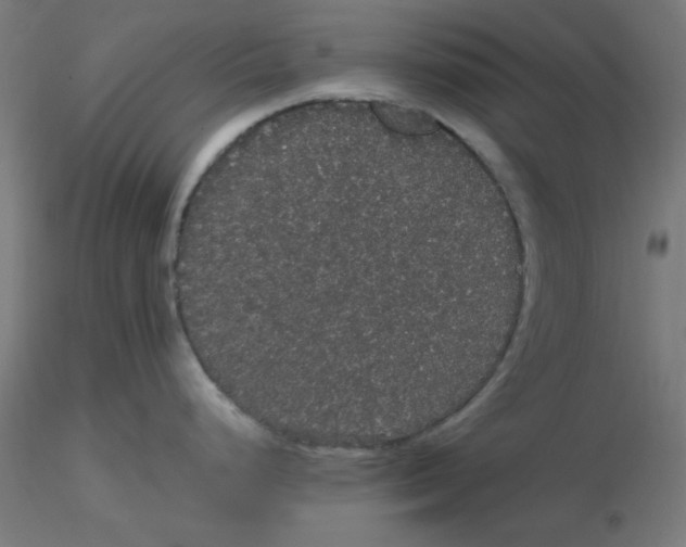 X0000116121248200912211647
