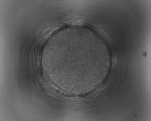 X0000116121250200912211646