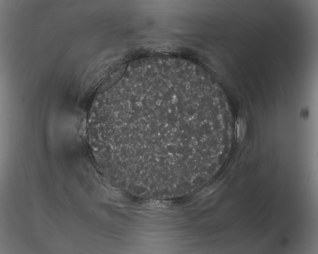 X0000116121251200912211646