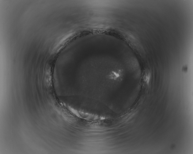 X0000116121252200912211646