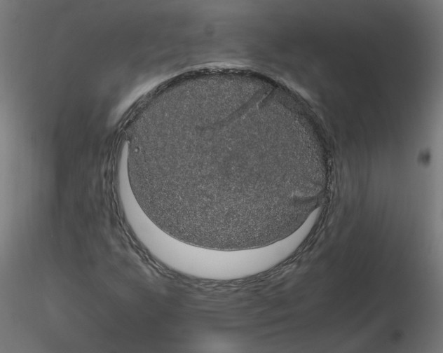 X0000116121255200912211646