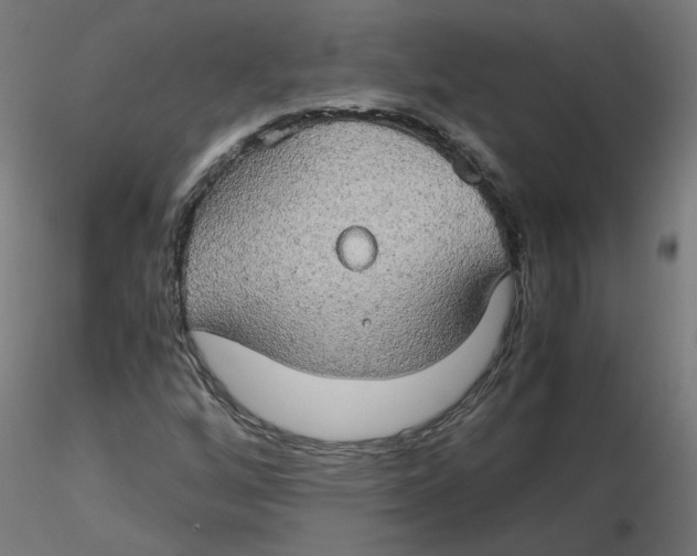 X0000116121256200912211646