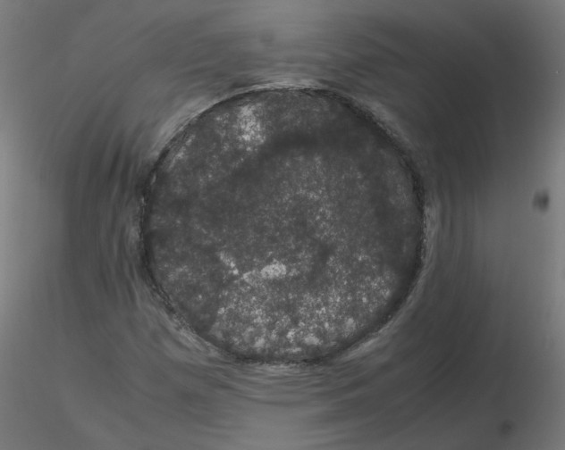 X0000116121257200912211646
