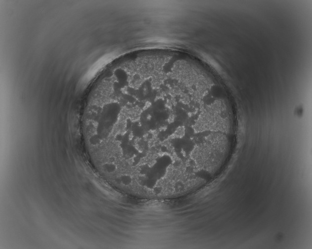 X0000116121259200912211646