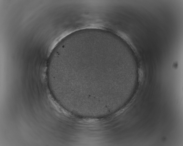 X0000116121260200912211646