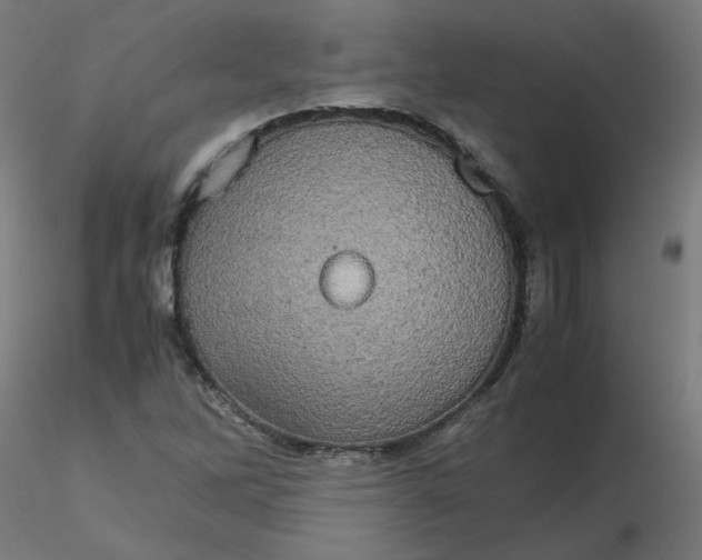 X0000116121262200912211646
