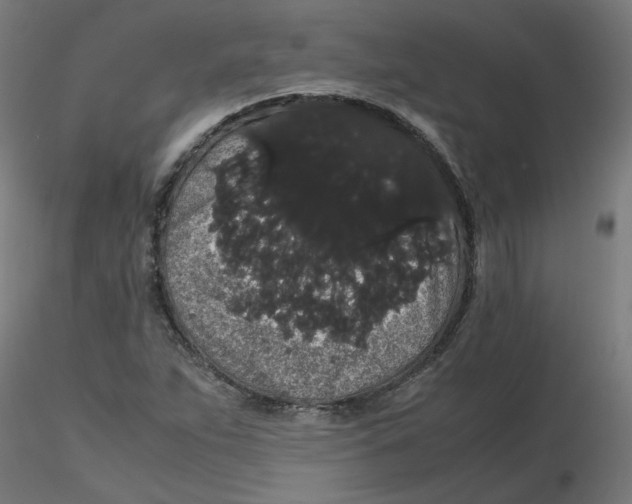 X0000116121263200912211646