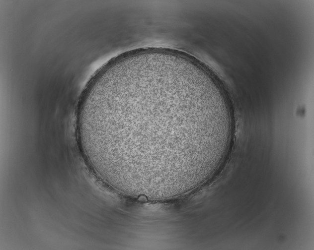 X0000116121264200912211646