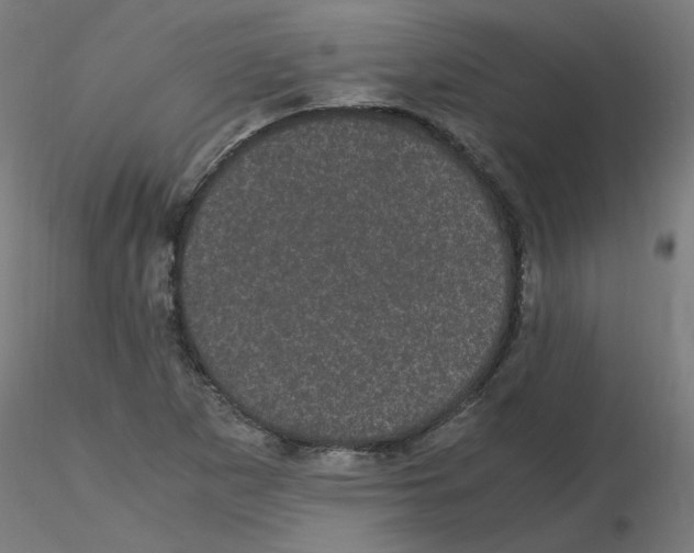 X0000116121265200912211646