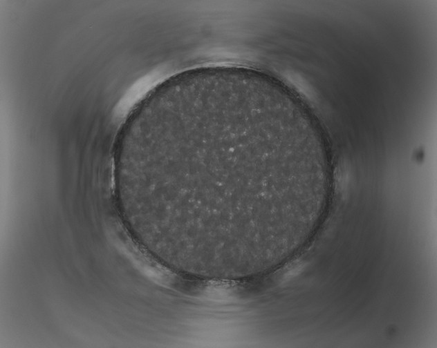 X0000116121267200912211646