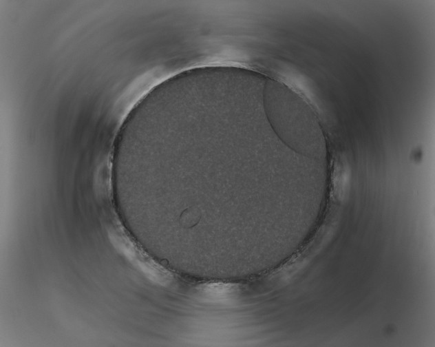 X0000116121268200912211646