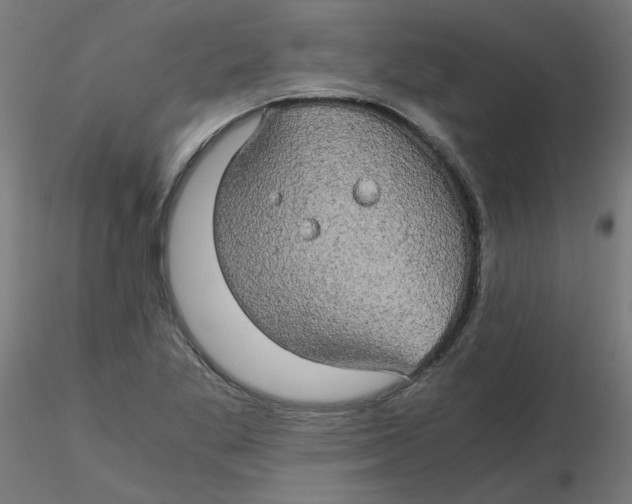 X0000116121269200912211646
