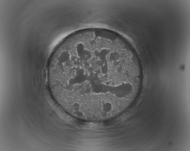 X0000116121271200912211646
