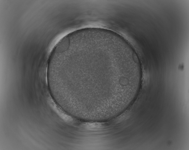 X0000116121272200912211646