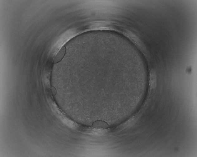 X0000116121273200912211646