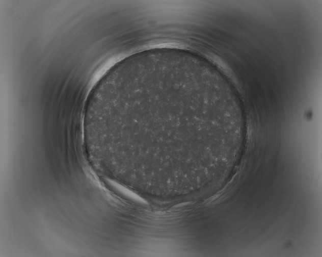 X0000116121274200912211646