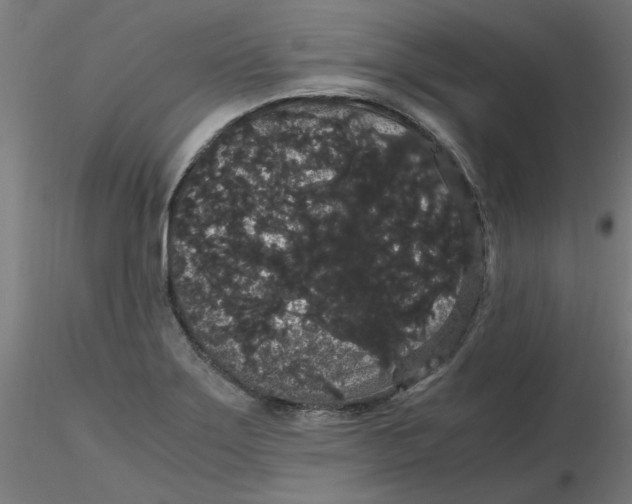 X0000116121275200912211646