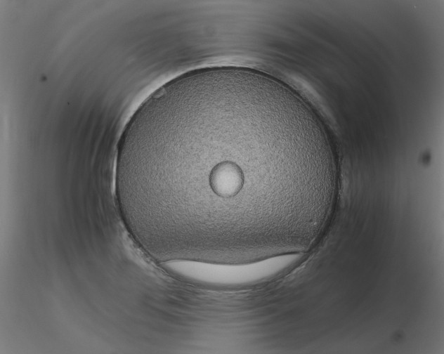 X0000116121276200912211646