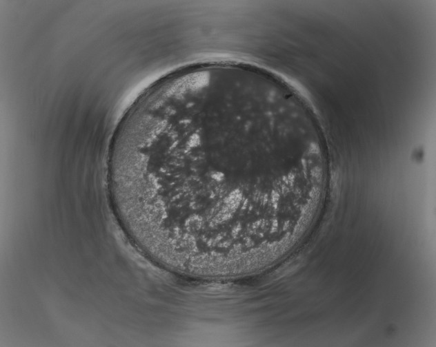 X0000116121279200912211646