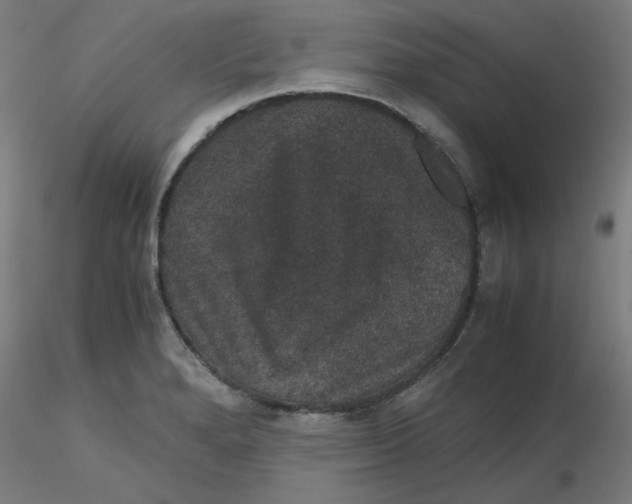 X0000116121280200912211646