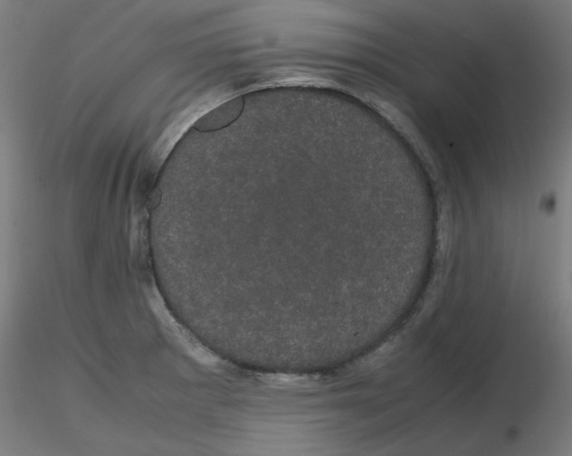 X0000116121281200912211646