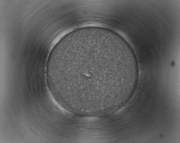 X0000116121282200912211646