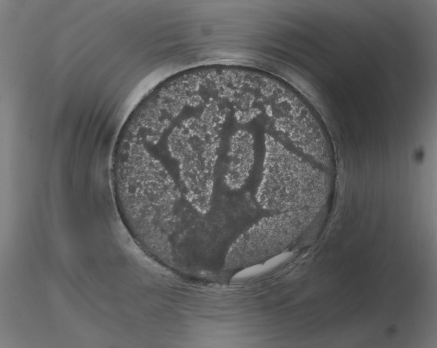 X0000116121283200912211646