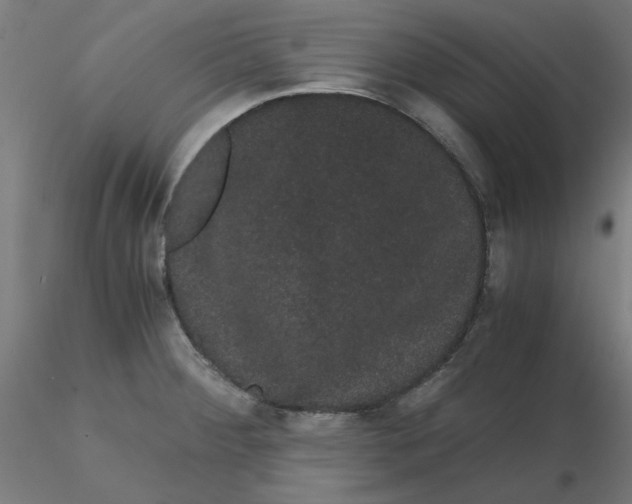 X0000116121284200912211646