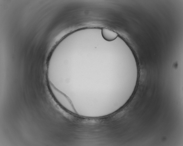 X0000116121286200912211646
