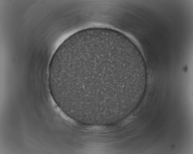 X0000116121287200912211646