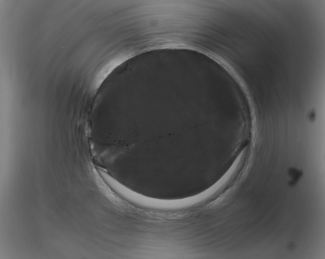 X0000116121289200912211646