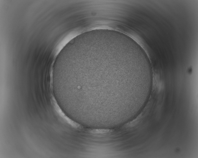X0000116121290200912211646