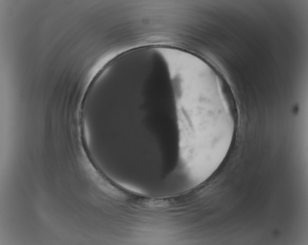 X0000116121291200912211646
