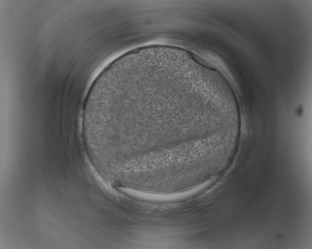 X0000116121292200912211646