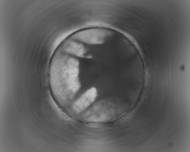 X0000116121295200912211646