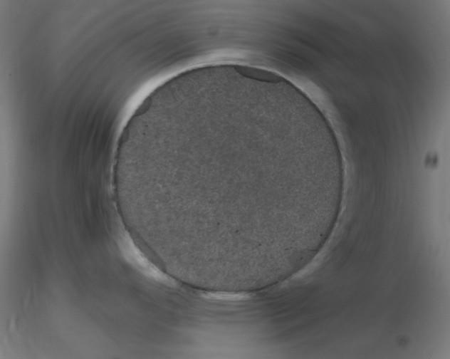 X0000116121296200912211646