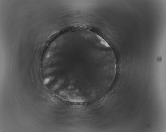 X0000116121297200912211645