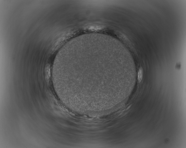 X0000116121299200912211645