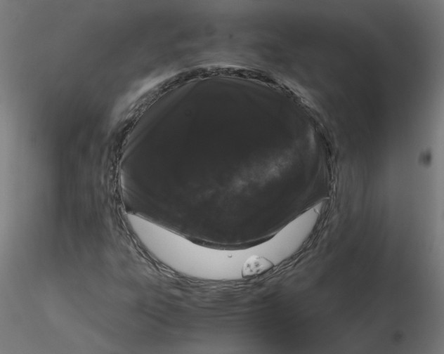 X0000116121303200912211645