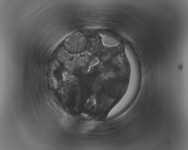 X0000116121305200912211645