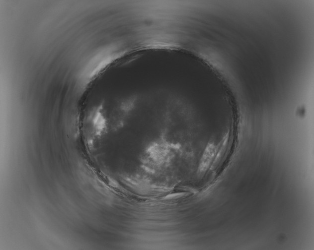 X0000116121306200912211645