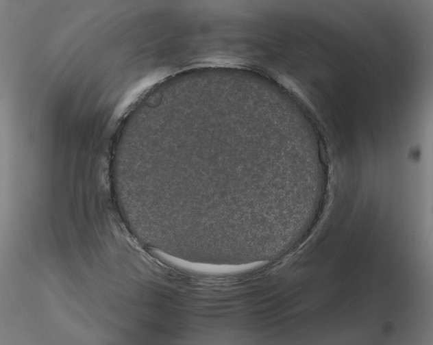 X0000116121307200912211645