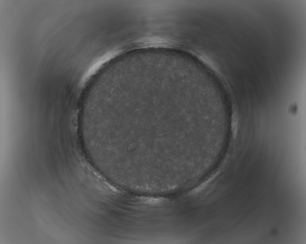 X0000116121309200912211645