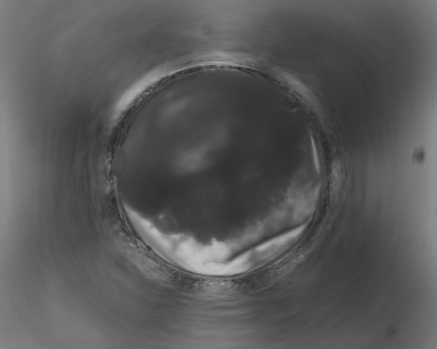 X0000116121310200912211645