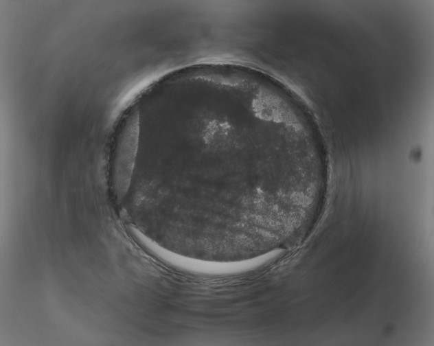 X0000116121311200912211645