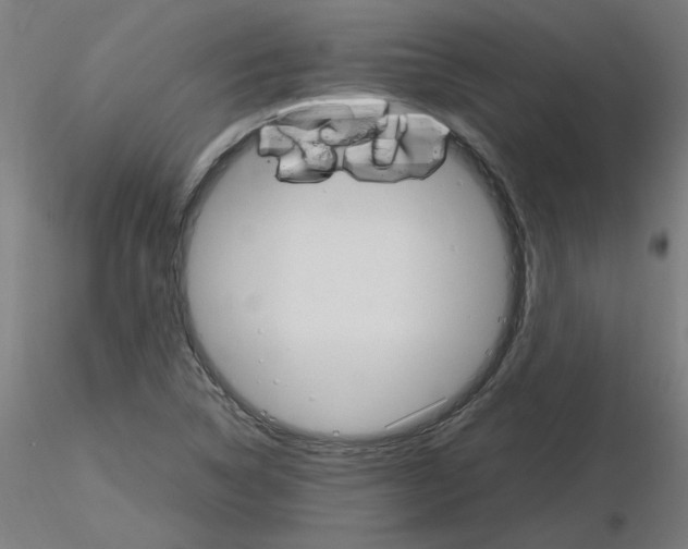 X0000116121314200912211645